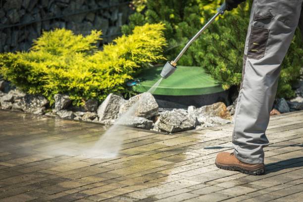 Best Pre-Holiday Cleaning  in Dolton, IL