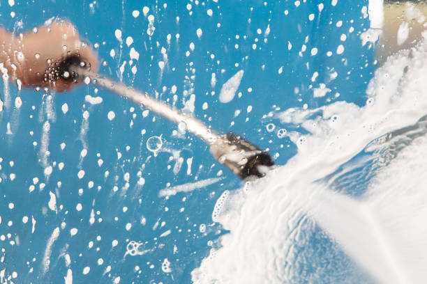Best Animal Enclosure Cleaning  in Dolton, IL