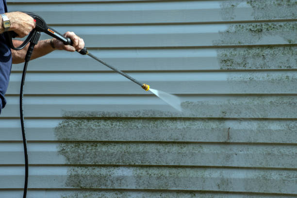 Solar Panel Cleaning in Dolton, IL