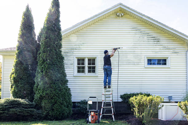 Best Patio and Deck Pressure Washing  in Dolton, IL